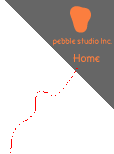 pebble studio z[